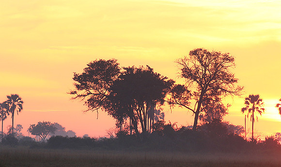 Sunrise - Abu concession - Okavango