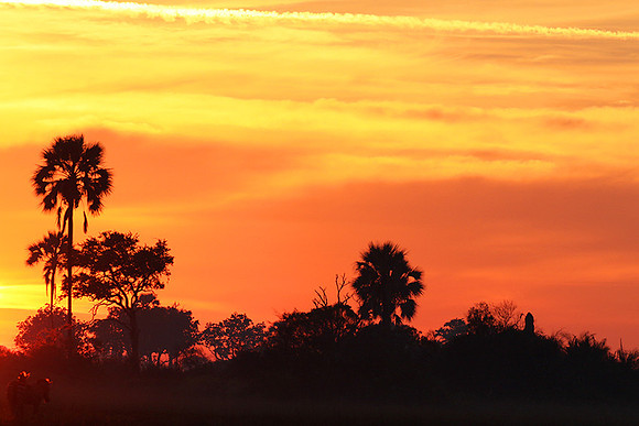 Sunrise - Abu concession - Okavango