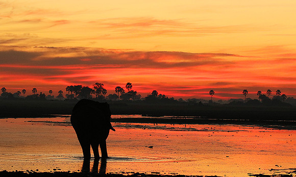 Sunrise - Abu concession - Okavango