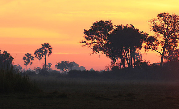 Sunrise - Abu concession - Okavango