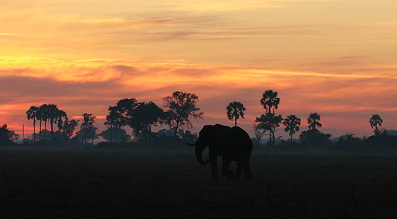 Sunrise - Abu concession - Okavango