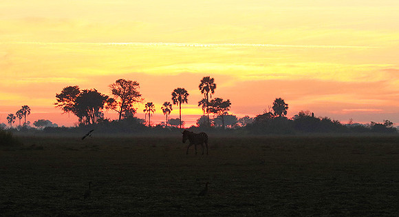Sunrise - Abu concession - Okavango