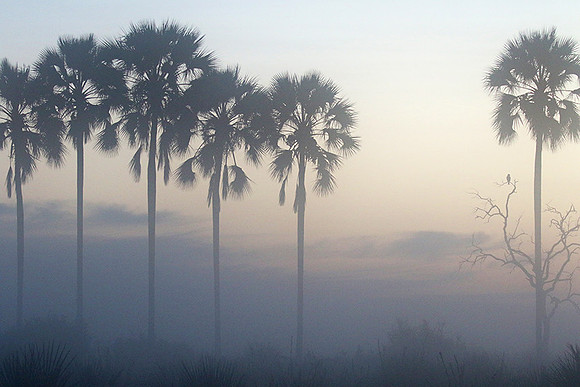 Sunrise - Abu concession - Okavango