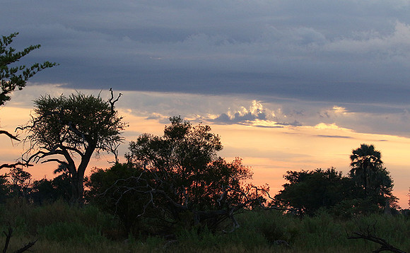 Sunrise - Abu concession - Okavango