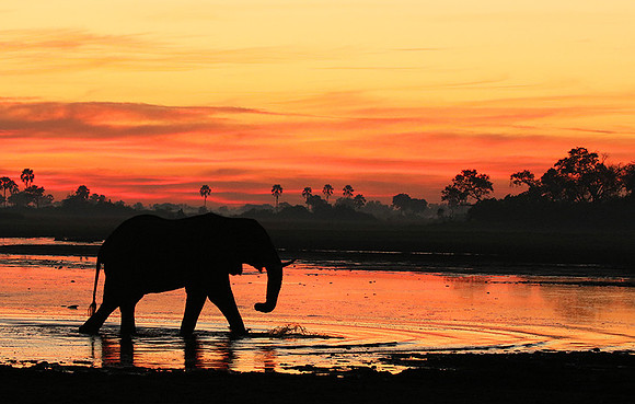 Sunrise - Abu concession - Okavango