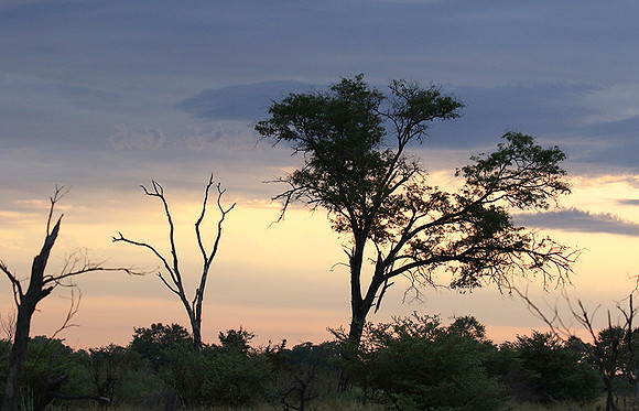 Sunrise - Abu concession - Okavango