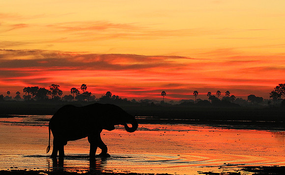 Sunrise - Abu concession - Okavango