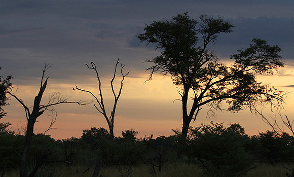 Sunrise - Abu concession - Okavango