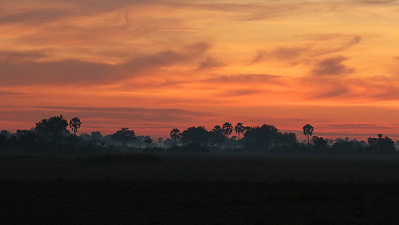 Sunrise - Abu concession - Okavango