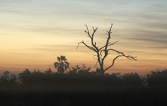 Sunrise - Abu concession - Okavango