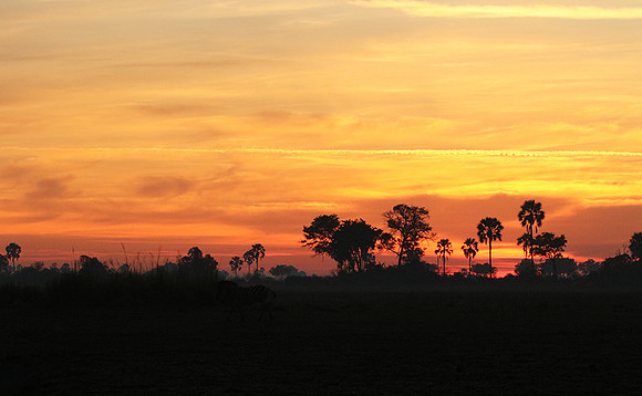 Sunrise - Abu concession - Okavango