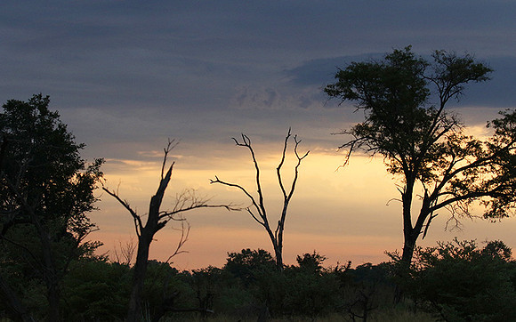 Sunrise - Abu concession - Okavango