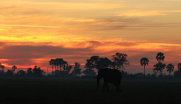 Sunrise - Abu concession - Okavango