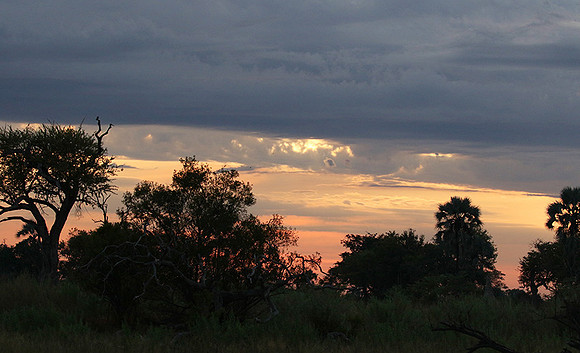 Sunrise - Abu concession - Okavango
