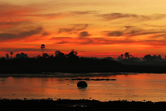 Sunrise - Abu concession - Okavango