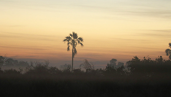 Sunrise - Abu concession - Okavango