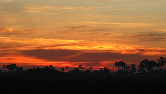 Sunrise - Abu concession - Okavango