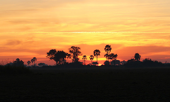 Sunrise - Abu concession - Okavango
