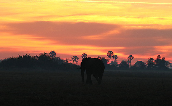 Sunrise - Abu concession - Okavango