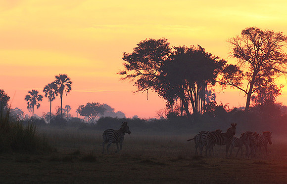 Sunrise - Abu concession - Okavango
