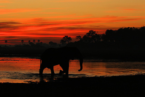 Sunrise - Abu concession - Okavango