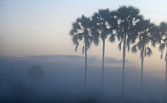 Sunrise - Abu concession - Okavango