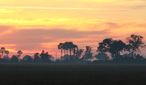 Sunrise - Abu concession - Okavango