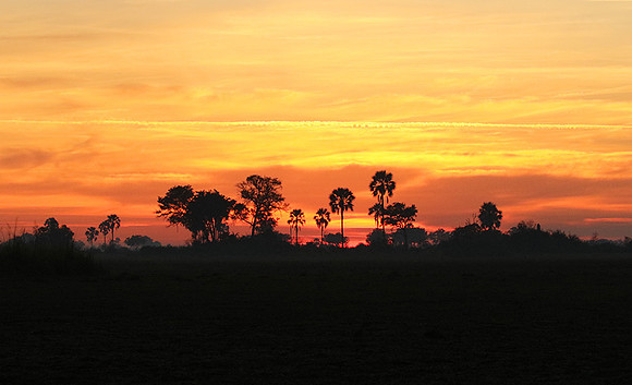 Sunrise - Abu concession - Okavango