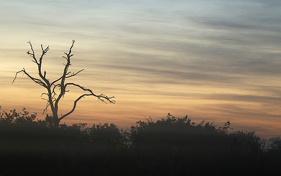 Sunrise - Abu concession - Okavango