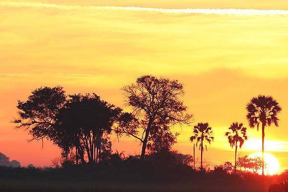 Sunrise - Abu concession - Okavango