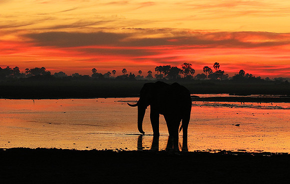 Sunrise - Abu concession - Okavango