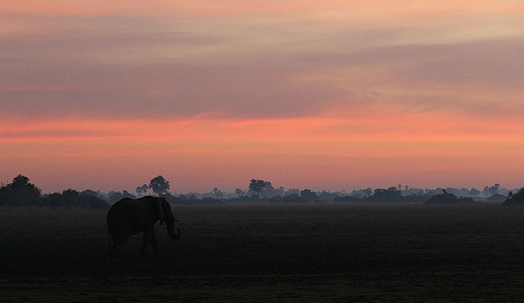 Sunrise - Abu concession - Okavango