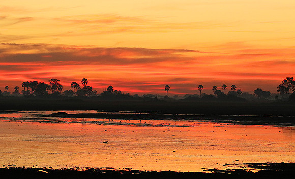 Sunrise - Abu concession - Okavango