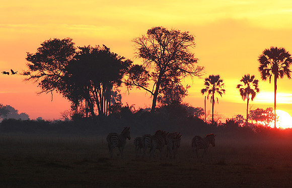 Sunrise - Abu concession - Okavango