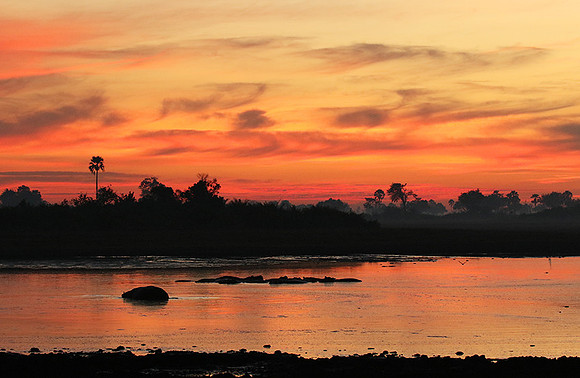 Sunrise - Abu concession - Okavango