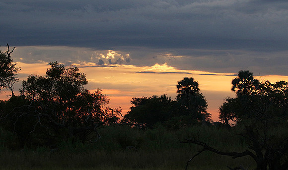 Sunrise - Abu concession - Okavango
