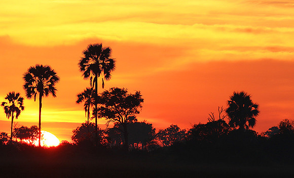 Sunrise - Abu concession - Okavango