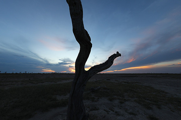 Sunset - Makgadikgadi