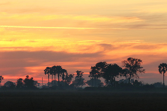 Sunrise - Abu concession - Okavango