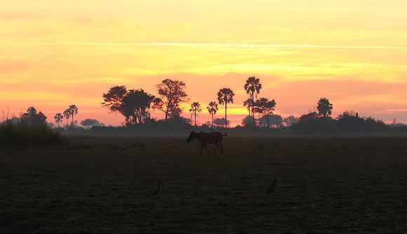 Sunrise - Abu concession - Okavango
