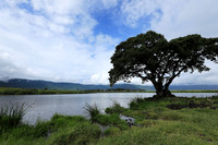 Tanzania