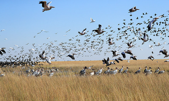 Liuwa Plain NP