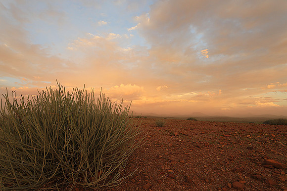 Sunset over Palmwag