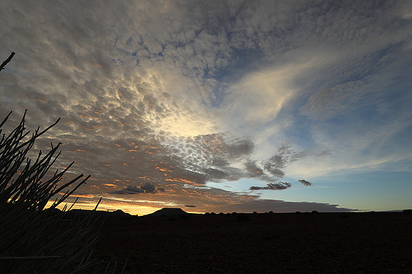 Sunrise in the desert of Palmwag