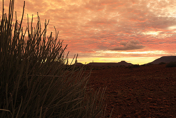Sunrise in the desert of Palmwag