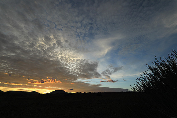 Sunrise in the desert of Palmwag