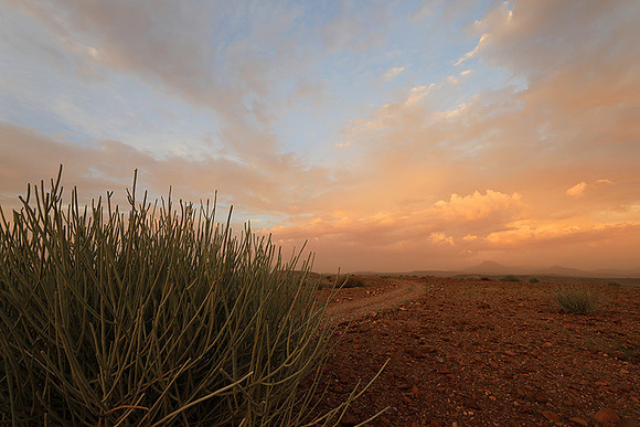 Sunset over Palmwag