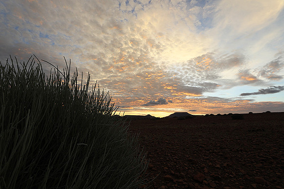 Sunrise in the desert of Palmwag
