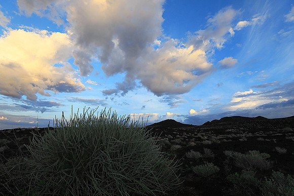 Damaraland