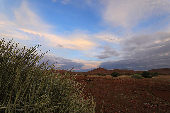 Sunrise in the desert of Palmwag